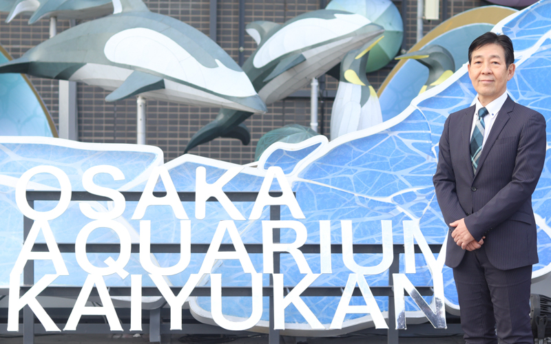 新コンテンツ記事用サムネイル